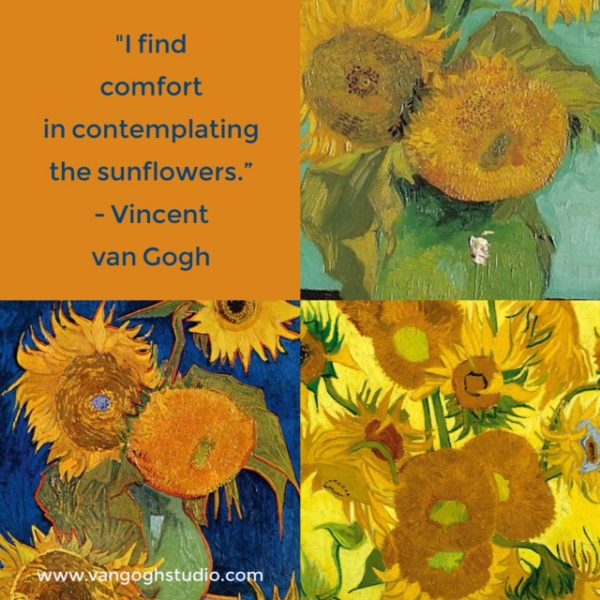 "I find comfort in contemplating the sunflowers." - Vincent van Gogh